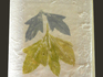 Card_1_tiny