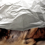 Paper_11_1