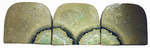Dryrot