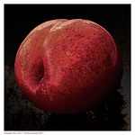 Forbidden-plum-_511