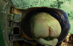 Trash_026