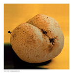Pear-_1080