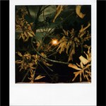 Mulholland_002
