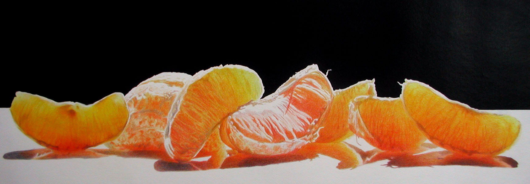 Orange Delight Colored Pencil painting of Orange Segments