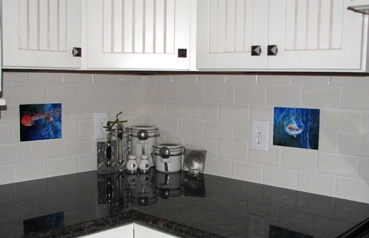 Back Splash