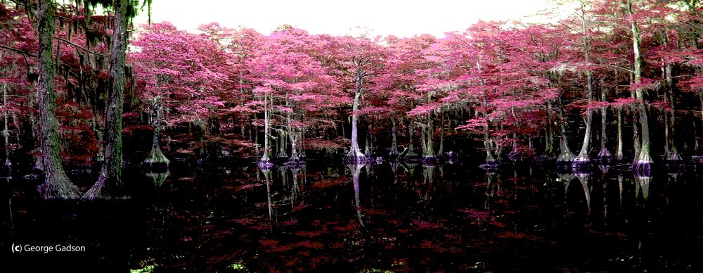 Digital Enhanced Photograph