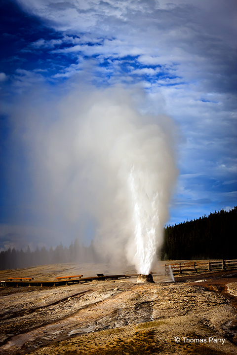 Beehive Geyser