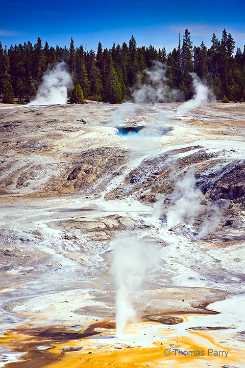 Yellowstone Geyser Basin
