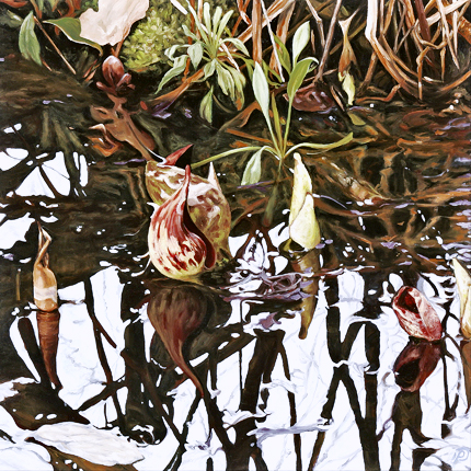 oil painting,botanical painting,landscape painting,nature,woodland,contemporary realism