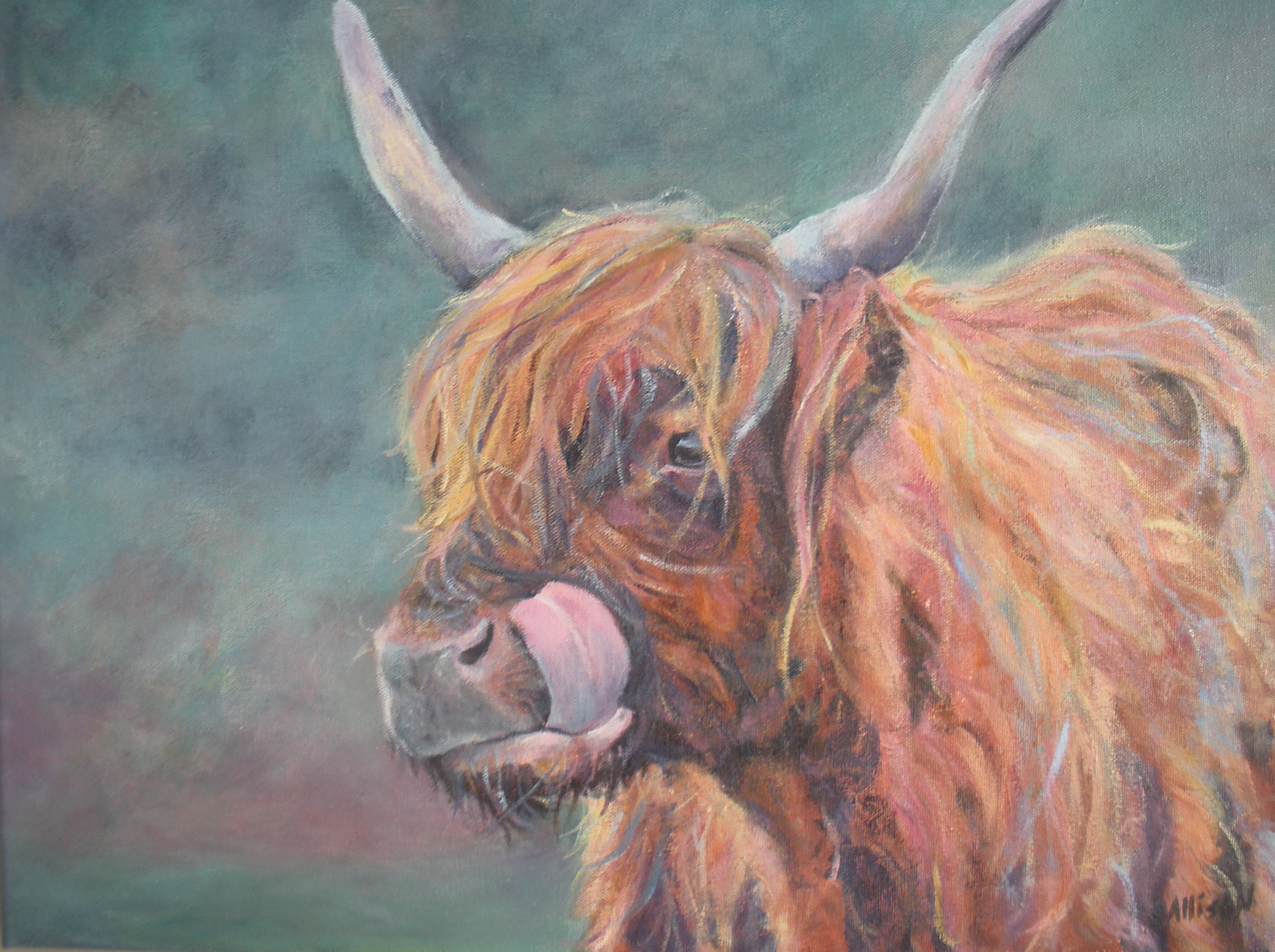 acrylic, highland cow