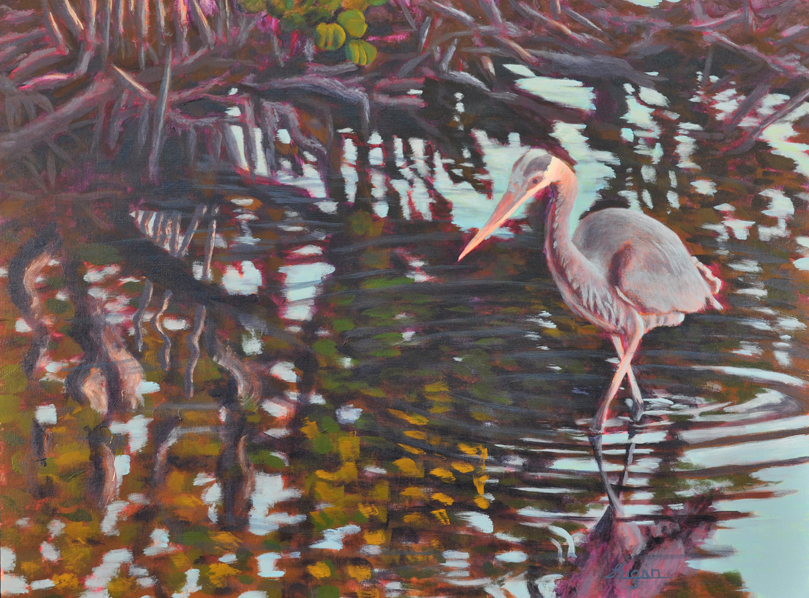 Great blue heron fishing for his breakfast at dawn.