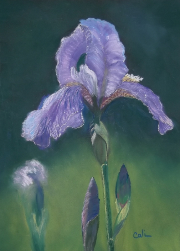 Pastel on Pastelmat paper