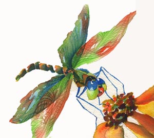 Watercolor Painting of a dragonfly