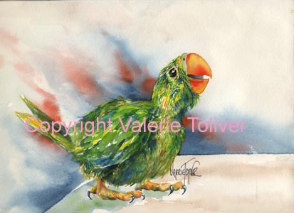 Painting of a baby parrot