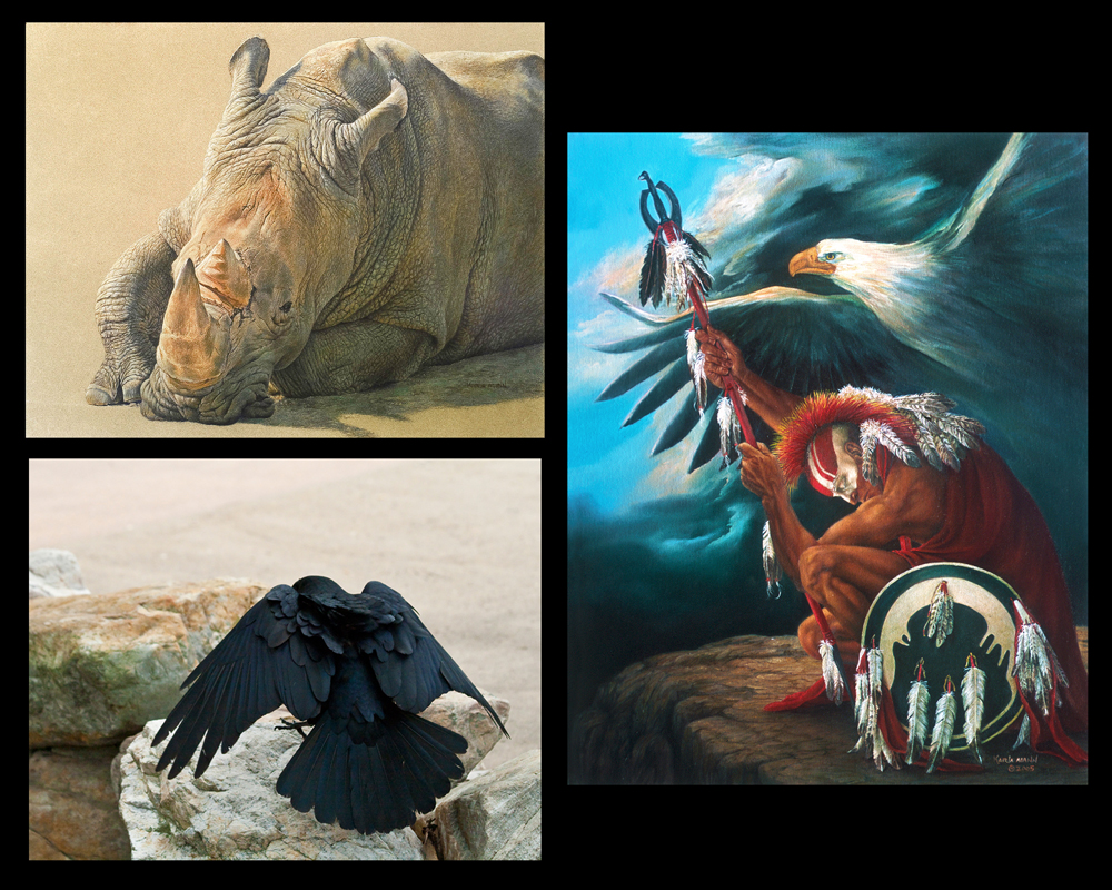 Wildlife, Southwestern, Drawing, Painting, Photography