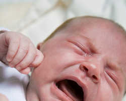 Colic Small