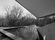Lu6n6109_dxo_bw