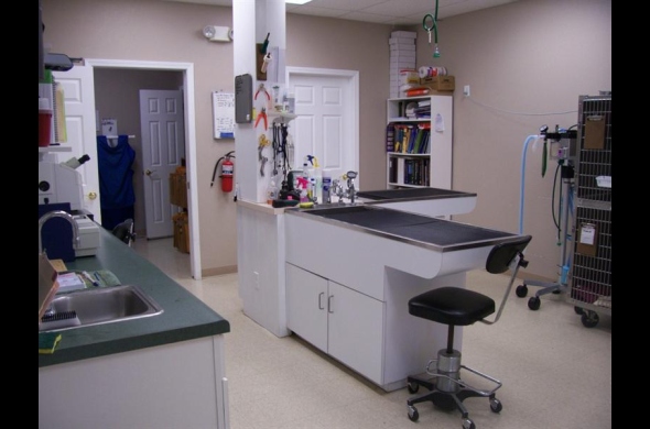 Treatment Area