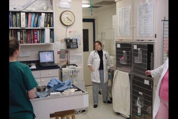 Treatment Room