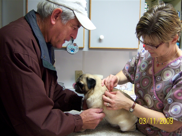 acupuncture