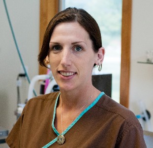 Michelle, LVT