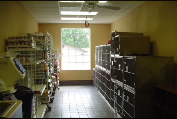 Feline Ward