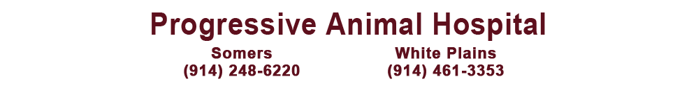 Progressive Animal Hospital