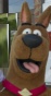 Scooby