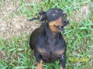 Gabby