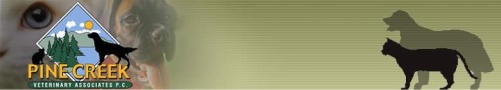 Pine Creek Veterinary Associates, PC