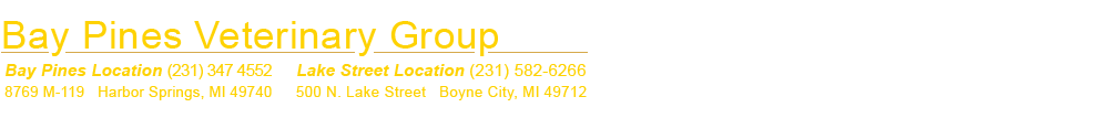 Bay Pines Veterinary Group