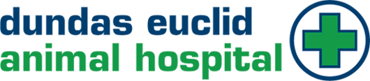 Dundas Euclid Animal Hospital