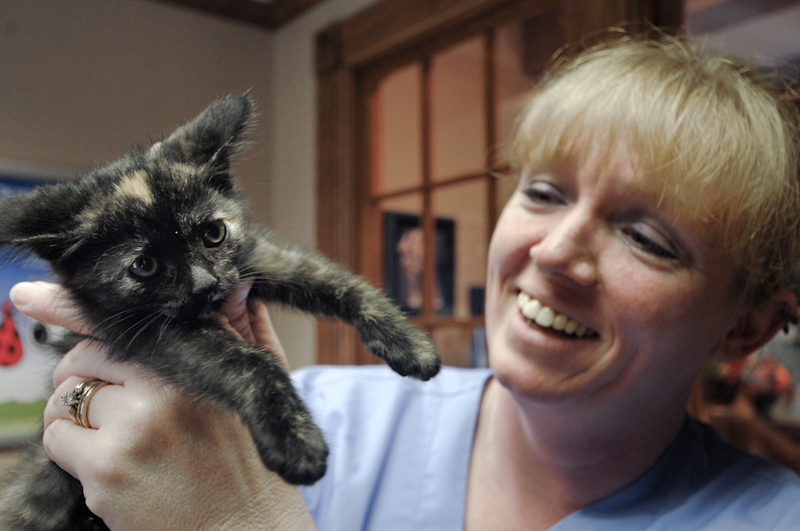 Michelle, Office Manager/Veterinary Assistant