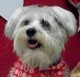 Keverly, Pet Care Supervisor