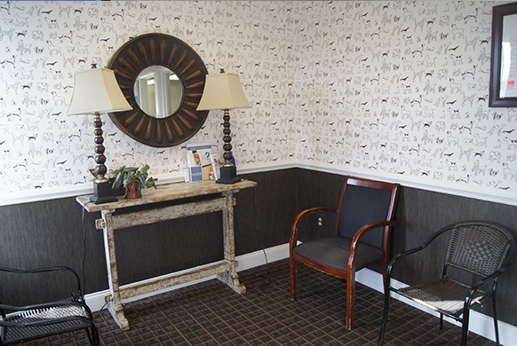 The Animal Clinic, P.C. | Virtual Tour