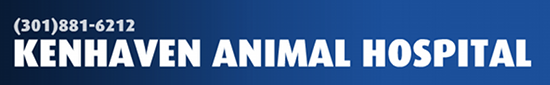 Kenhaven Animal Hospital