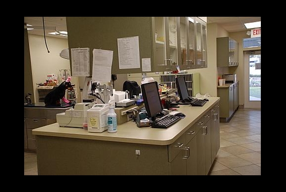 Laboratory