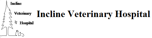 Incline Veterinary Hospital