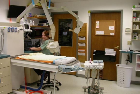 Treatment area and dental suite