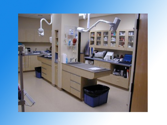 Treatment Area