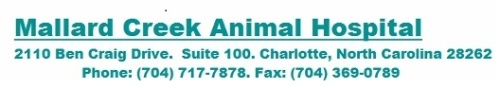 Mallard Creek Animal Hospital