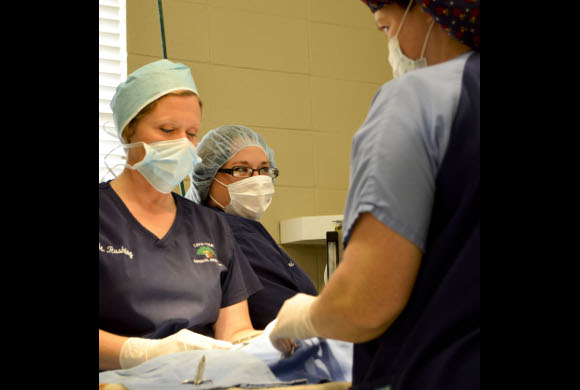 Surgery