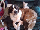 Beethoven & Reese Ziemba