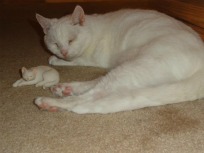 Mr. Bigglesworth