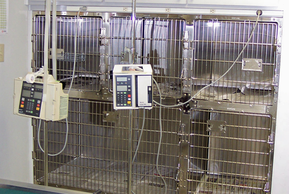ICU Area