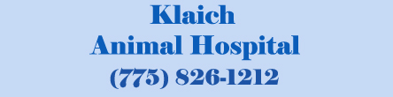 Klaich Animal Hospital