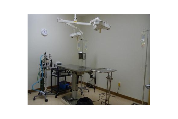 Surgery