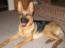Toby