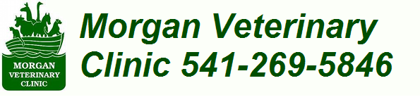 Morgan Vet Clinic