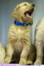 So sleepy!